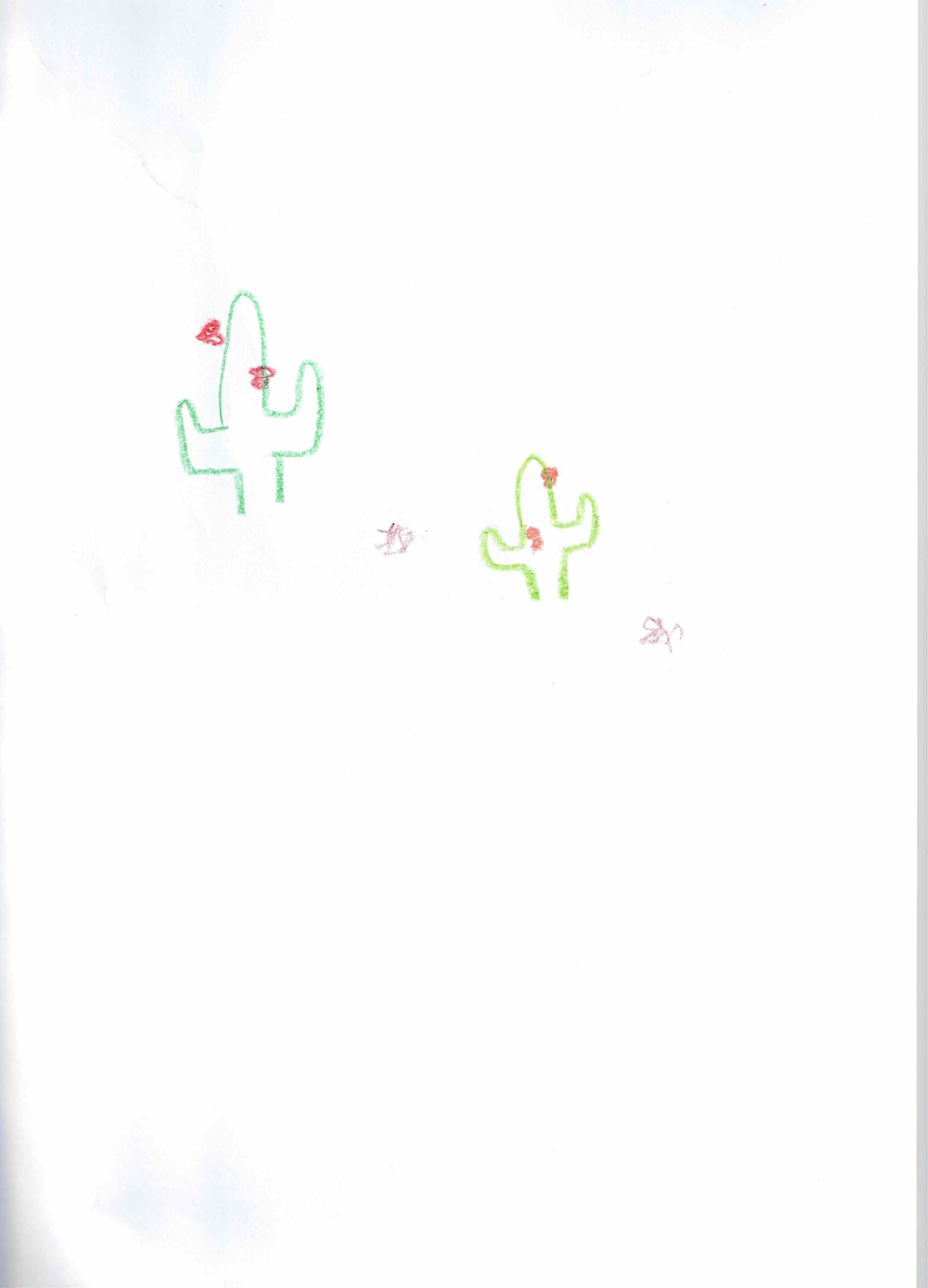 Artwork by Participante